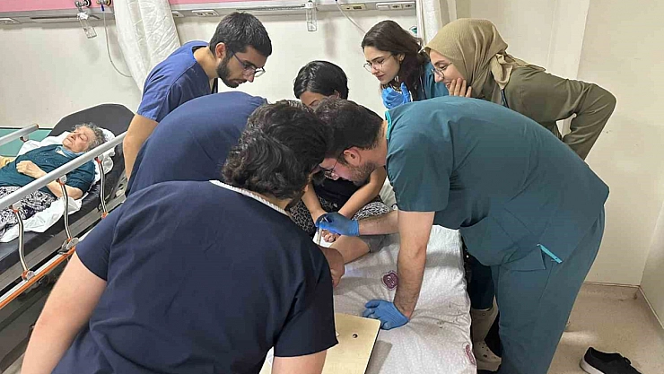 Elazığ'da kene vakası