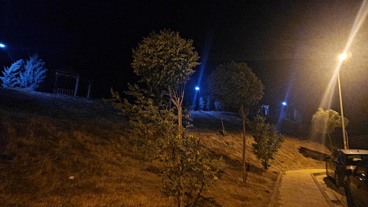 Elazığ'da kuvvetli rüzgar etkili