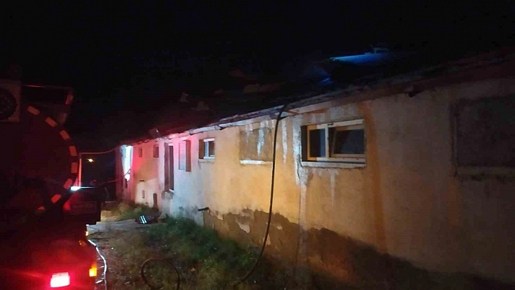 Elazığ'da yüzlercesi telef oldu