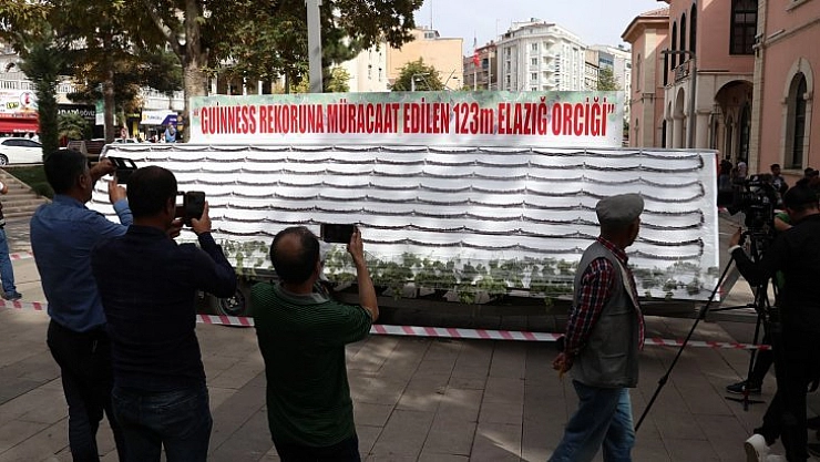 Elazığ İsveç'in rekorunu geçecek