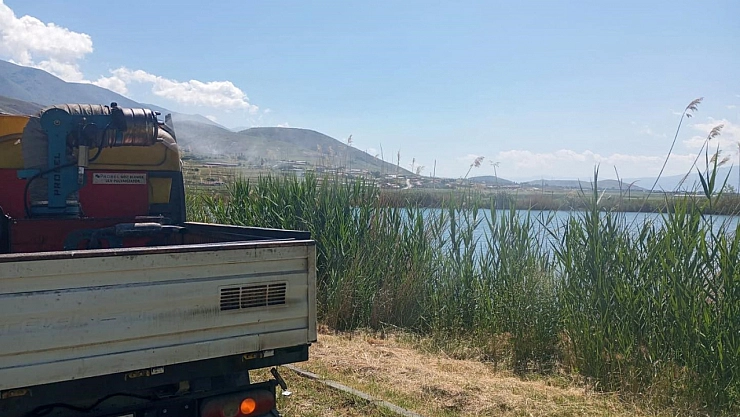 Erzincan'da uçkun ilaçlaması başlıyor