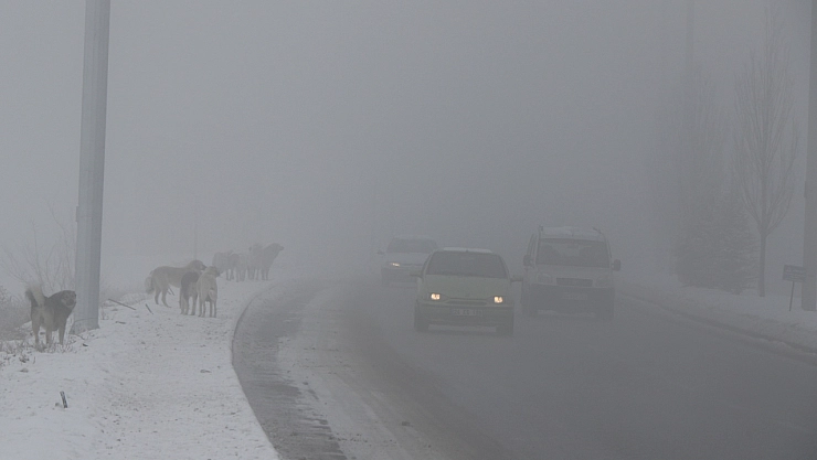 Erzincan güne sisle uyandı