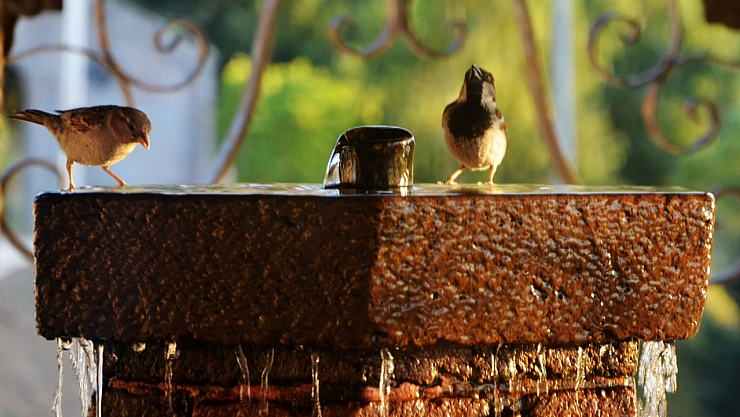 Erzurum ve çevresi için kavurucu sıcaklık uyarısı