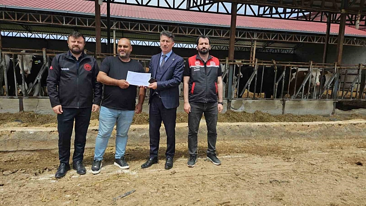 Eskişehir'de sayısı giderek artıyor! Kütahya'da yeni başladı...