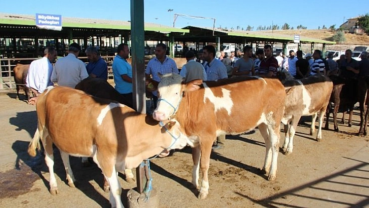 Et üreticilerinden tepki