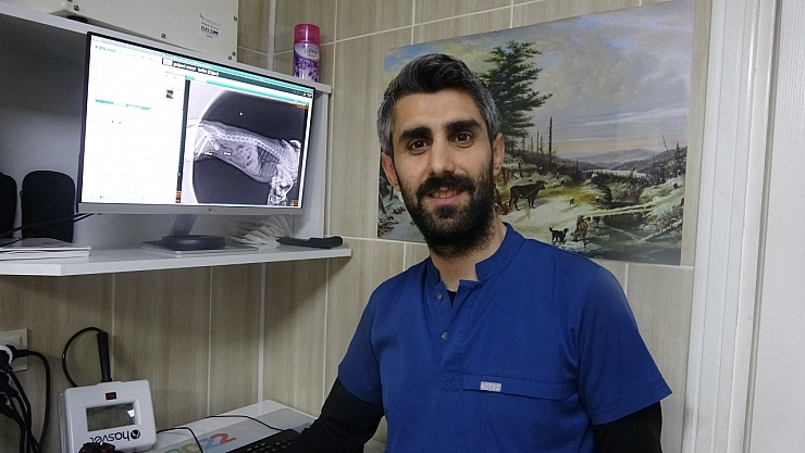 Evcil hayvanlara dikkat