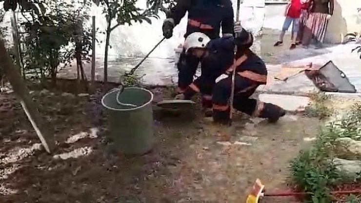 Evin bahçesine giren yılan yakalanarak doğaya bırakıldı