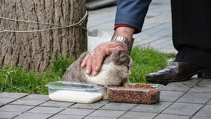 Evlat şefkatiyle bakıyor