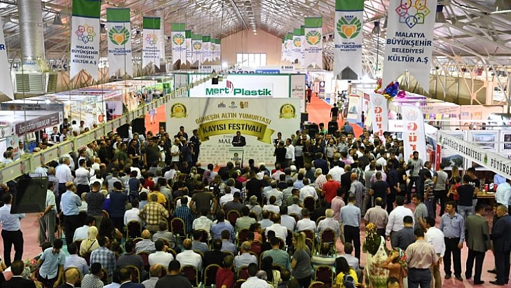 Festival başladı