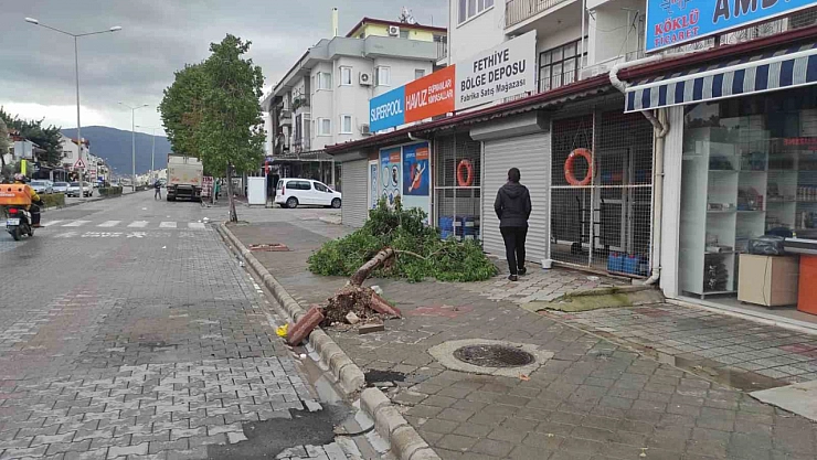 Fırtına'da seralar hasar gördü, ağaçlar devrildi