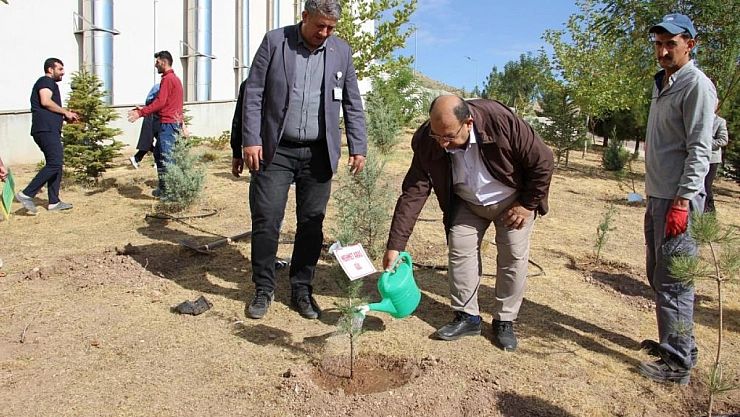 Fidan dikimi yapıldı