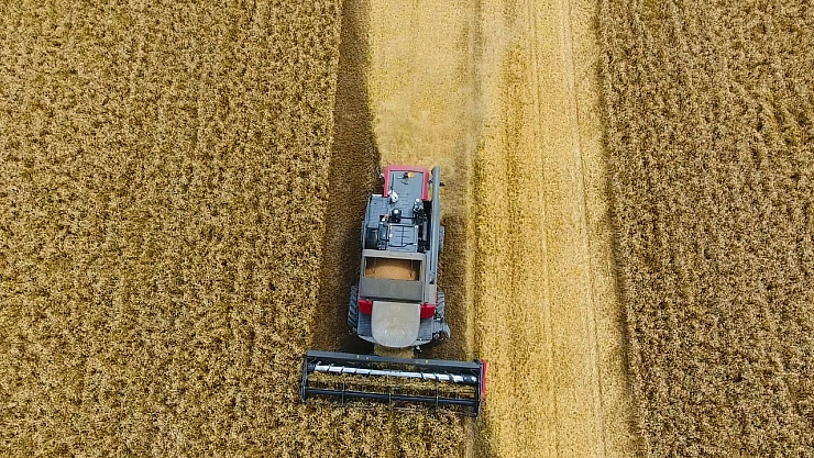 Fiyatlar Açıklandı! Çiftçi Tüccarın İnsafına Kaldı..!