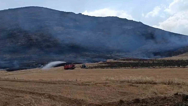 Ormanlık alana zarar verdi