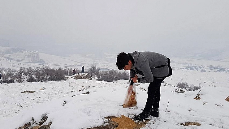 Hayvanlar aç kalmasın