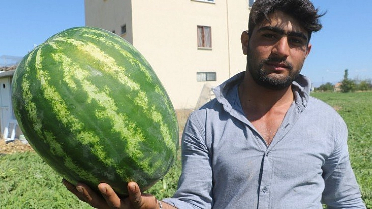 Görüntüsü göz kamaştırıyor