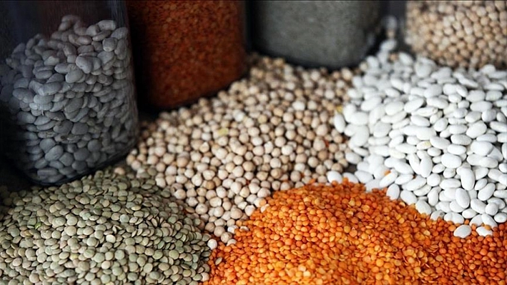 Güneydoğu'nun Hububat İhracatında İlk Çeyrek Yükselişi: Yüzde 9,8 Artış