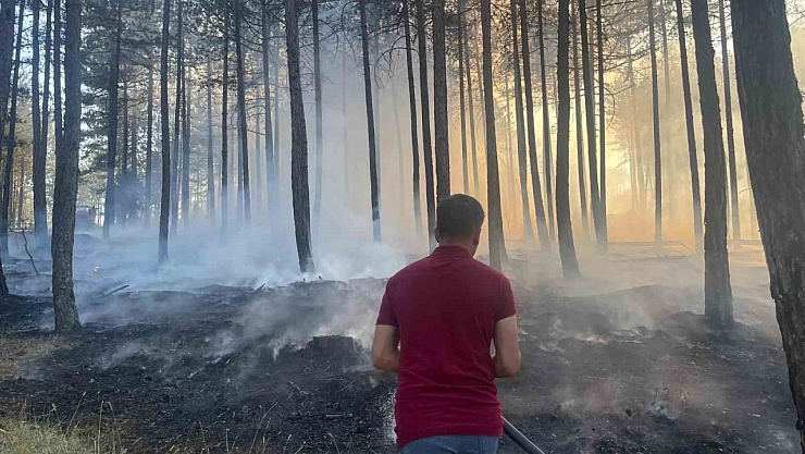 Hanönü'de çıkan orman yangını söndürüldü