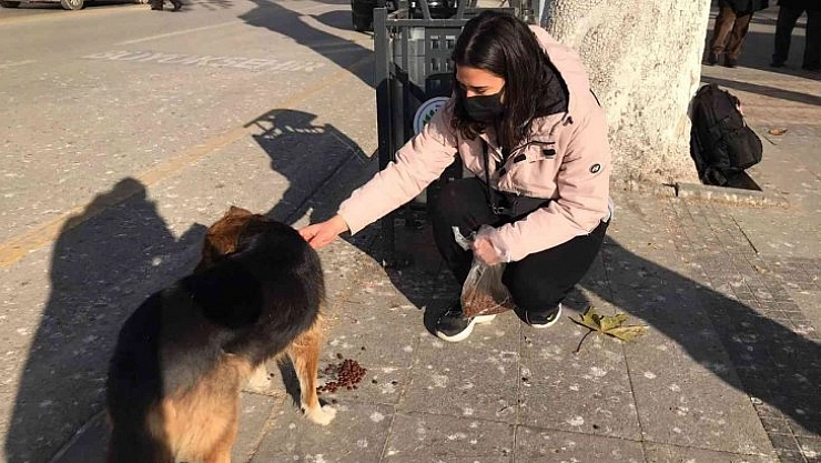 Harçlığını sokak hayvanlarına bağışladı