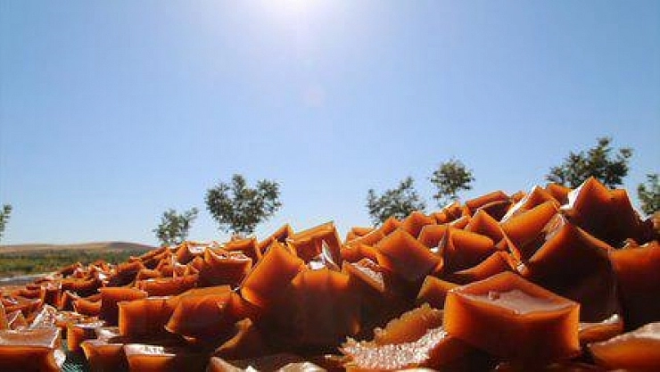 'Hasenik pestili' tescillendi!