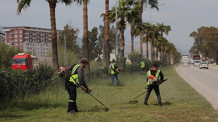 Hatay'da bahar temizliği