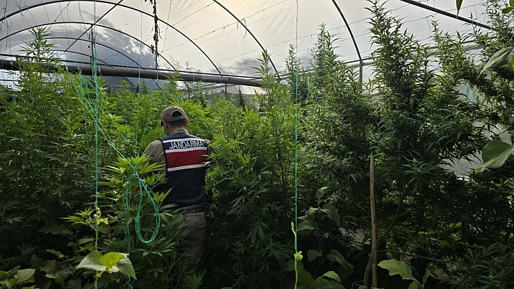 Hatay'da jandarma arama yaptı