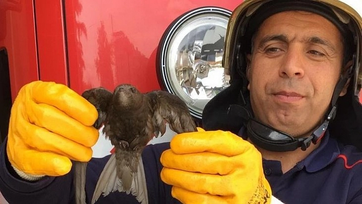 Havalandırma boşluğuna düşen kuşu itfaiye kurtardı