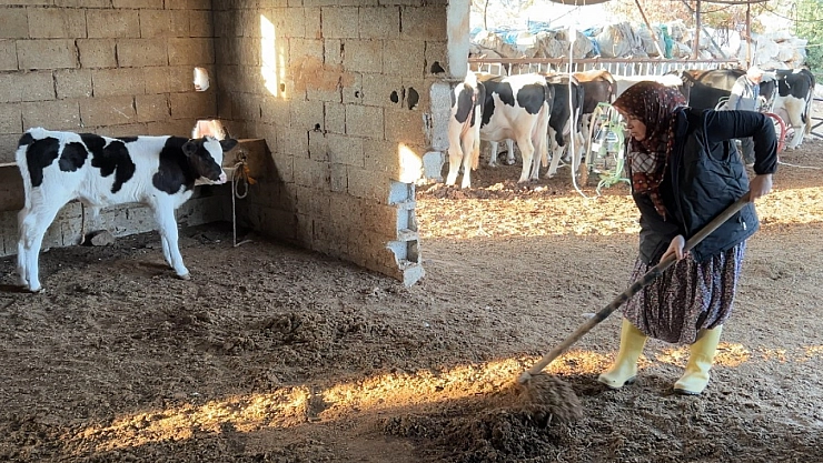 Hayvancılıkla uğraşırken çocukların ilk öğretmeni oldu