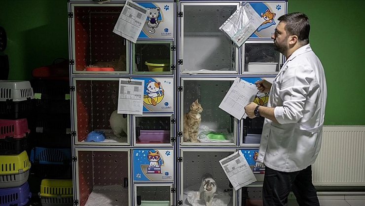Hayvanları sahiplendiriyorlar