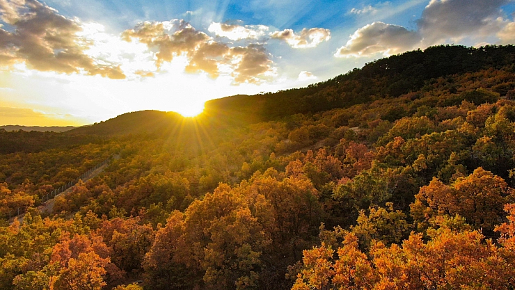 Hazan mevsiminin güzelliği hayran bıraktı