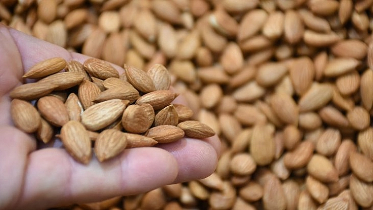 Hedef 20 milyon dolar