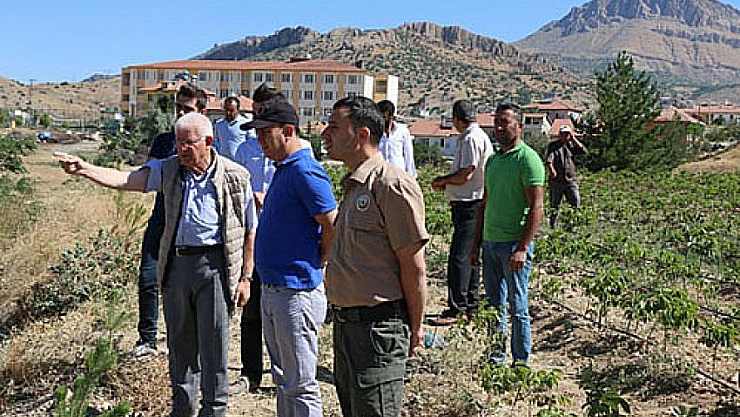 Hekimhan cevizi tescillendi