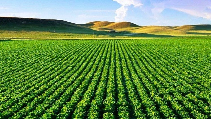 İcradan satılık arazi