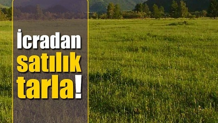 İcradan satılık tarla