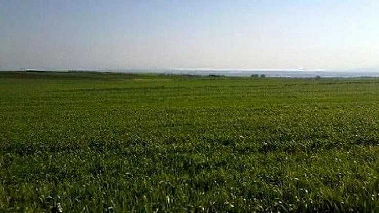 İcradan satılık tarla
