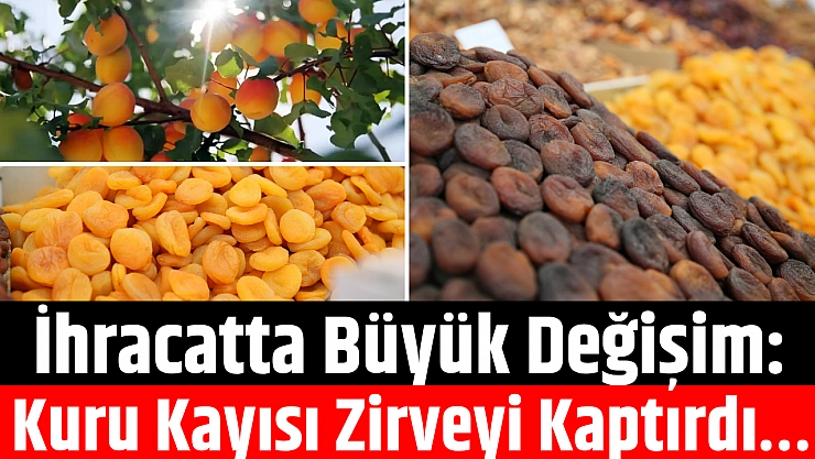 İhracatta Büyük Değişim: Kuru Kayısı Zirveyi Kaptırdı…