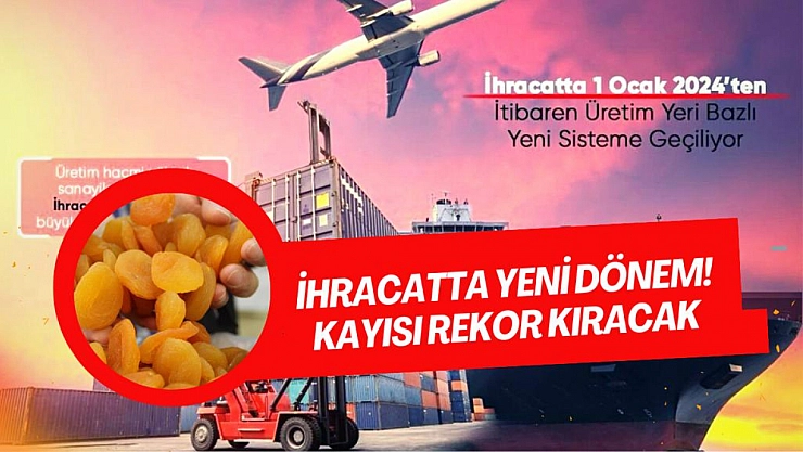 İhracatta yeni dönem! Kayısı rekor kıracak