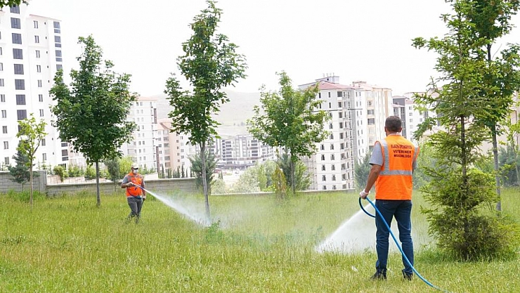 İlaçlama çalışmaları sürüyor