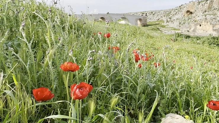 İlkbahar renkleri hakim oldu
