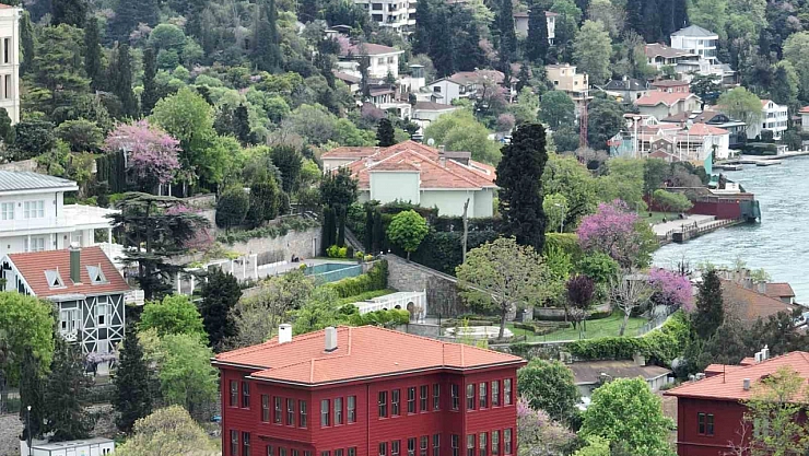 İstanbul'u erguvan ağaçları süsledi