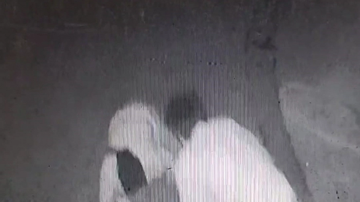 'Laf atma' cinayetinde görüntüler ortaya çıktı