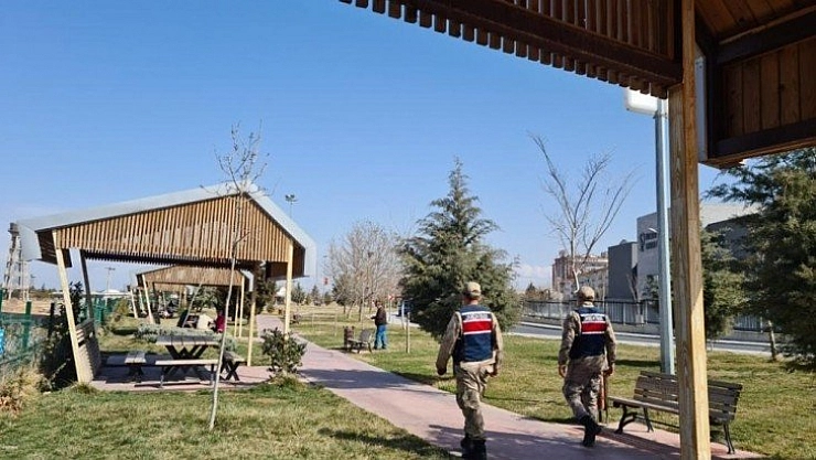 Korona denetimi