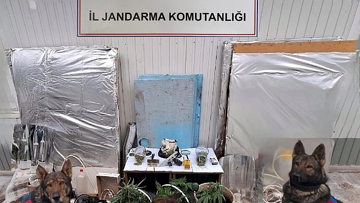 Jandarma'dan uyuşturucu operasyonu