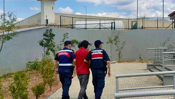 Jandarmadan kaçak kazı baskını