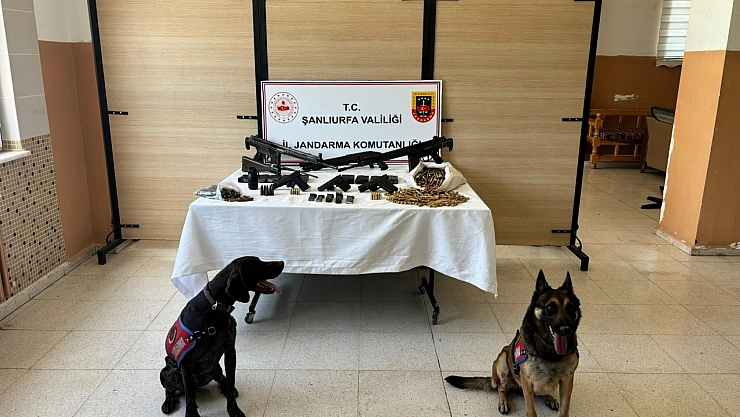 Jandarmadan kaçakçılara operasyon