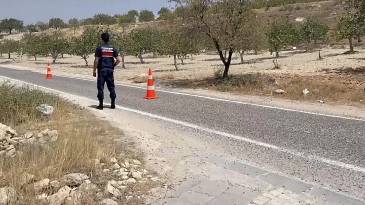 Jandarmanın dron destekli 'yeşil altın' nöbeti