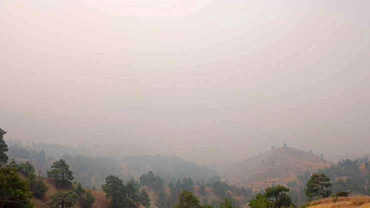 Orman yangınında 4 ev yandı, 20 ev tahliye edildi