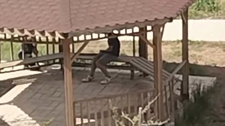 Kamelyalara zarar verdiler