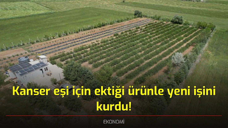 Kanser eşi için ektiği ürünle yeni işini kurdu!