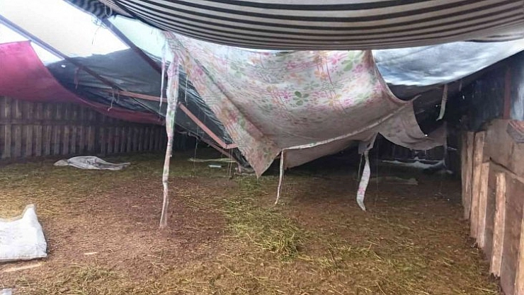 28 hayvan telef oldu