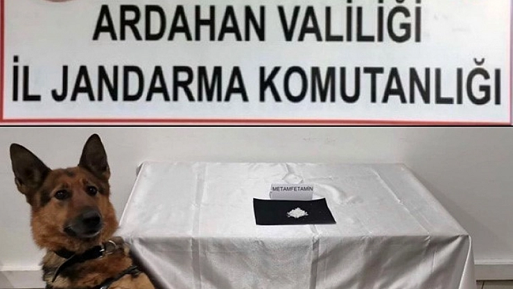 Kargocuyu, torbacı olarak kullandılar!